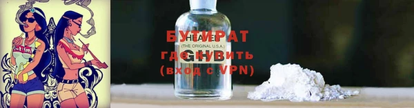 прущие крисы Бородино